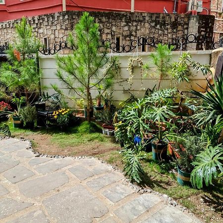 Wasabi House - Homestay Ben Cho ダラット エクステリア 写真
