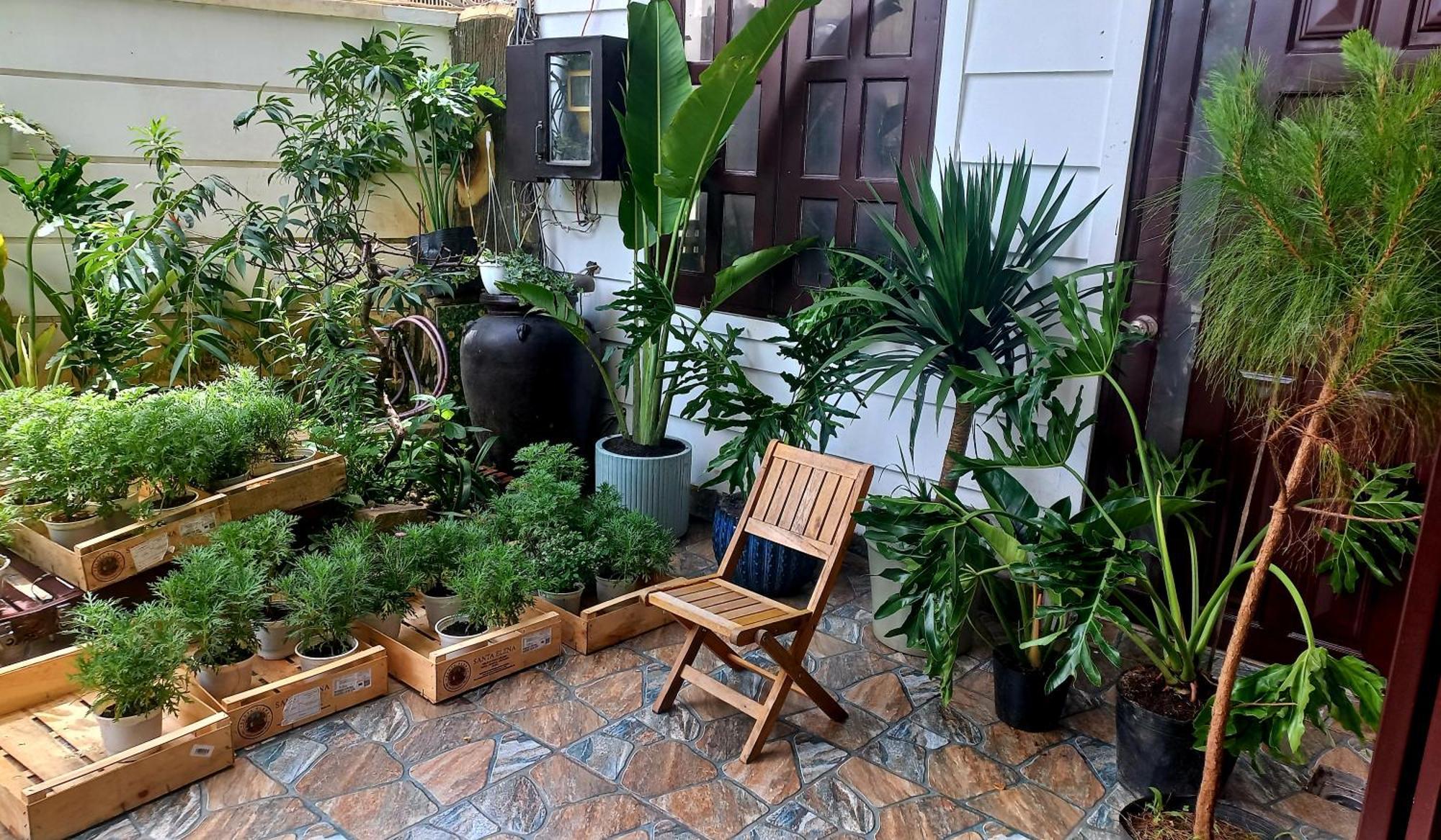 Wasabi House - Homestay Ben Cho ダラット エクステリア 写真