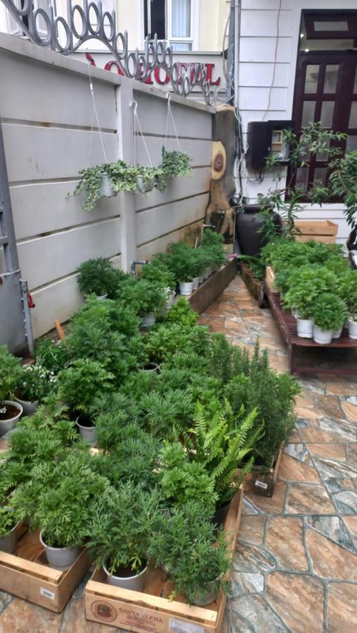 Wasabi House - Homestay Ben Cho ダラット エクステリア 写真