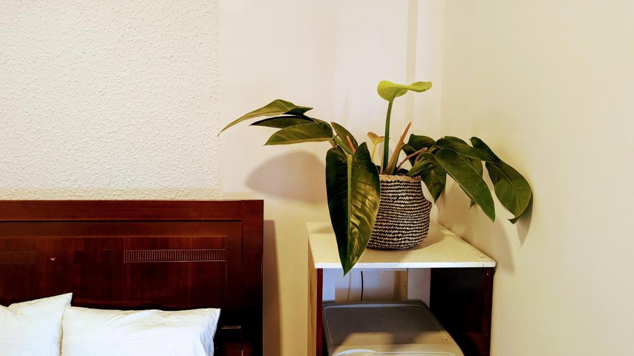 Wasabi House - Homestay Ben Cho ダラット エクステリア 写真