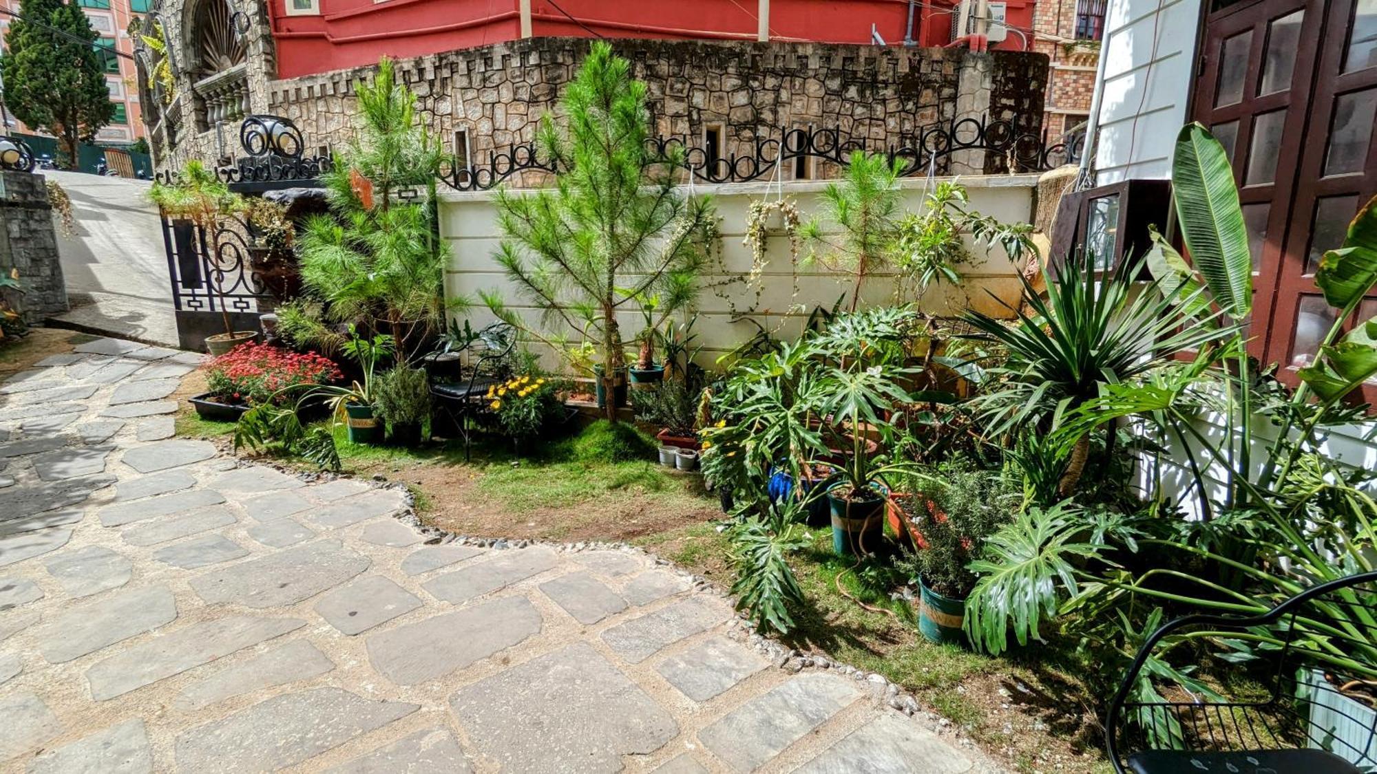 Wasabi House - Homestay Ben Cho ダラット エクステリア 写真