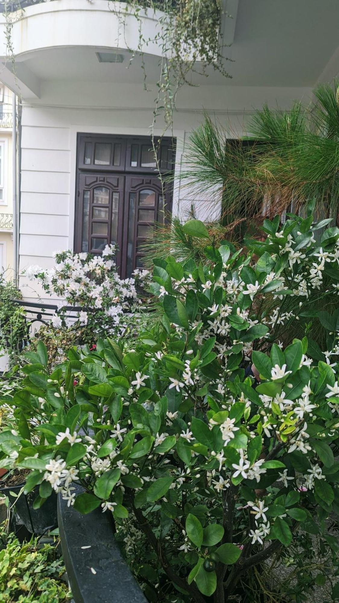 Wasabi House - Homestay Ben Cho ダラット エクステリア 写真