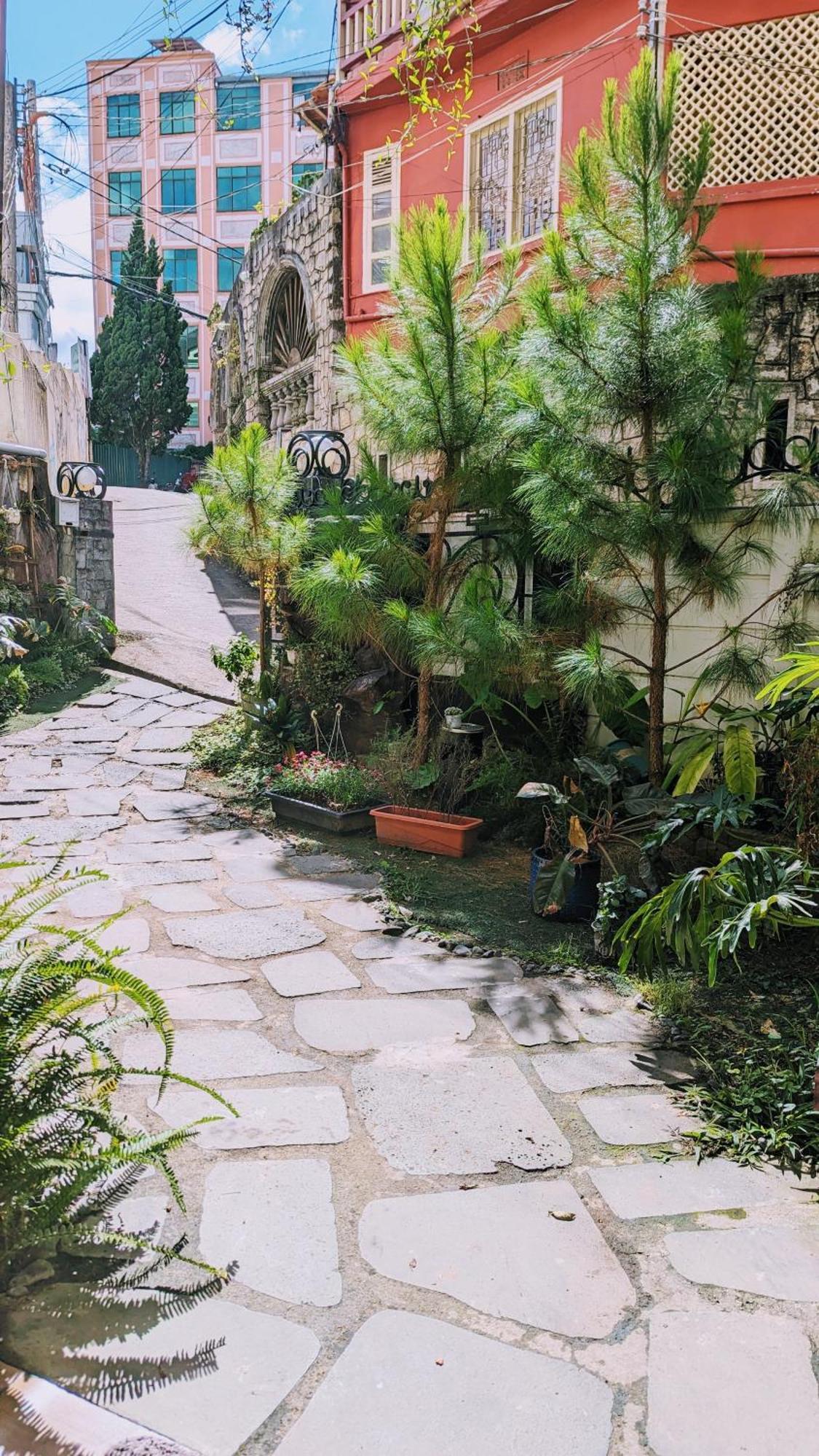 Wasabi House - Homestay Ben Cho ダラット エクステリア 写真